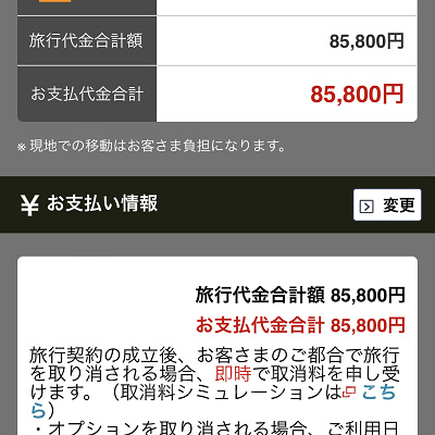 申込内容の最終確認（JAL）