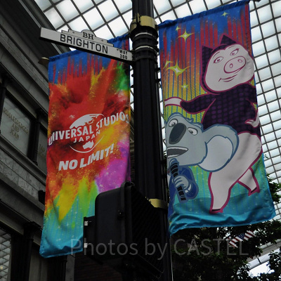 シングのフラッグ／USJ