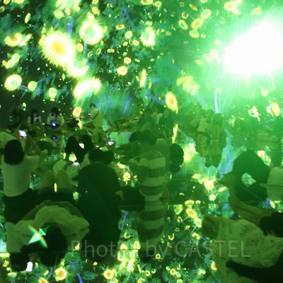 Floating in the Falling Universe of Flowers