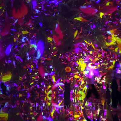 Floating in the Falling Universe of Flowers