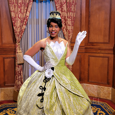 フロリダディズニーのホテル宿泊費