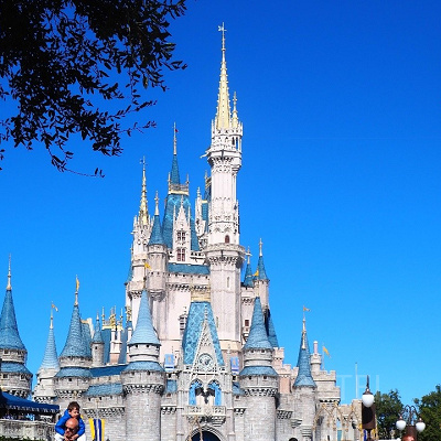 フロリダディズニー飛行機