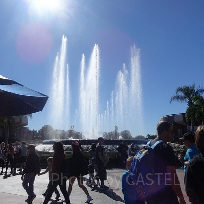 フロリダの日差し