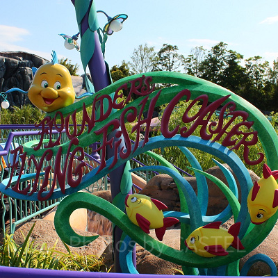 フランダーのフライングフィッシュコースター