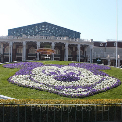 東京ディズニーランドエントランスの花壇