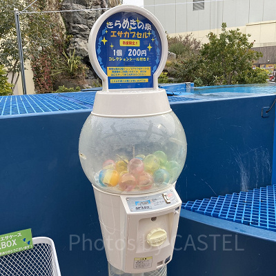 きらめきの泉の外周部に暮らす魚たちにあげられる餌のカプセル