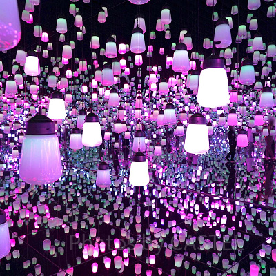 呼応するランプの森 - ワンストローク