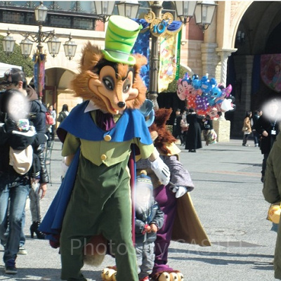 ファウルフェロー。後ろに猫のギデオンがいます。列車ごっこしていますね。