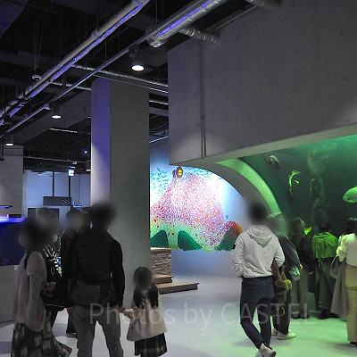 FOYER　探求の室