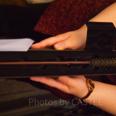 フレッド・ウィーズリーの杖