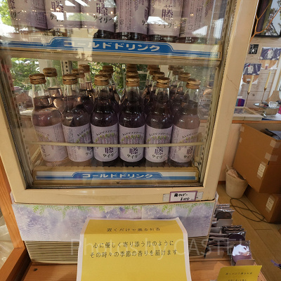 藤サイダー（350円）