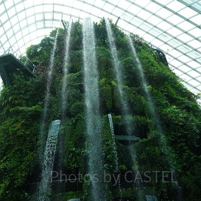 ガーデンズバイザベイ：アクセス