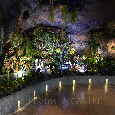 ガーデンズバイザベイ：フローラルファンタジー