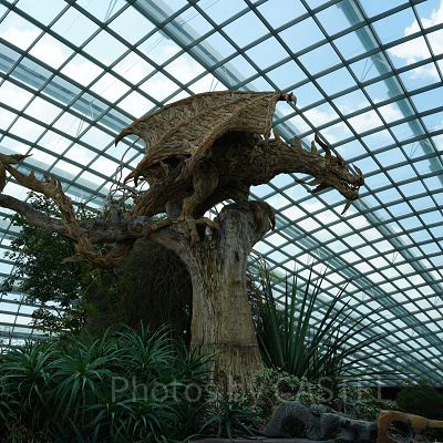 ガーデンズバイザベイ：フラワードーム