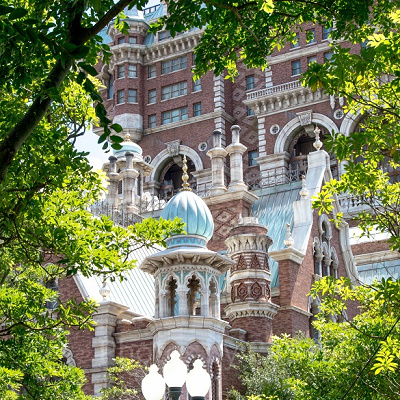 タワー・オブ・テラーの庭園