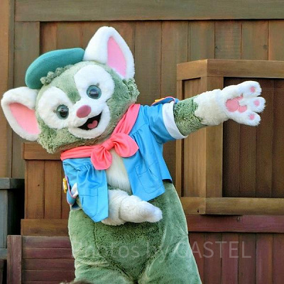 ダッフィーフレンズ　ぬいぐるみ、洋服、パスケース、カチューシャセット ダッフィーフレンズ ぬいぐるみ、洋服、パスケース