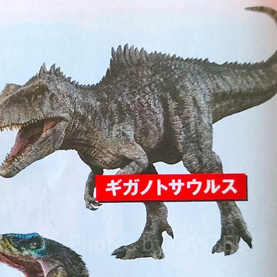 ギガノトサウルス