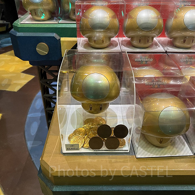 ゴールデンキノコチョコレート