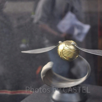 ゴールデンスニッチ