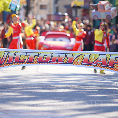 ディズニーリゾートで購入できるグッズ