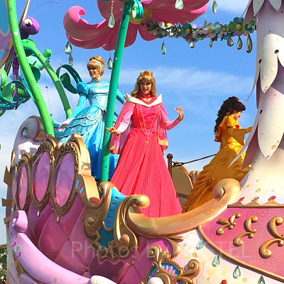 ディズニーを代表するプリンセスたちの豪華共演