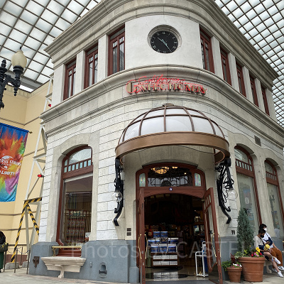 グルメ・チョコレート