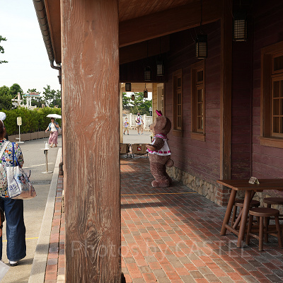 グリーティング体験談（8/1の状況）