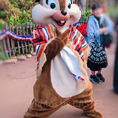 チップとのグリーティング