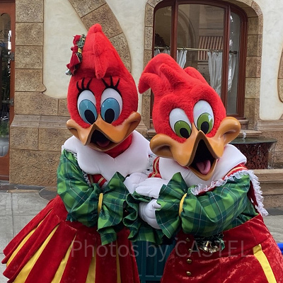 ウッディ＆ウィニーのグリーティング／キャノピー下