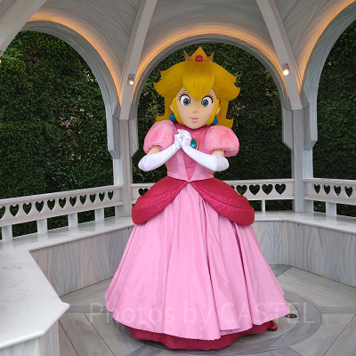 ピーチ姫とのグリーティング／スーパーニンテンドーワールド