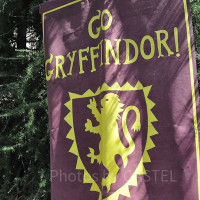 ホグワーツ城外にあるグリフィンドールの旗