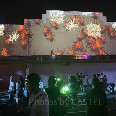 ハロウィーンホラーナイトのプロジェクションマッピング