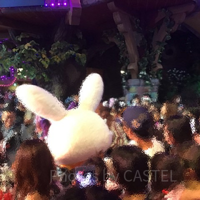 ハロウィンパーティ～バルマスケ アンソルスラン～　パレード中