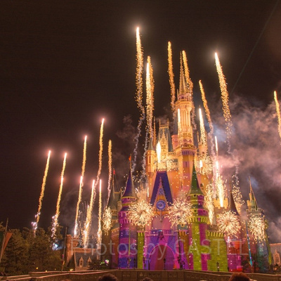 ディズニーでの迷惑行為