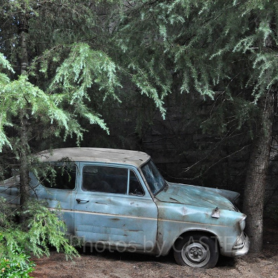 ハリー・ポッターエリア/空飛ぶフォード・アングリア