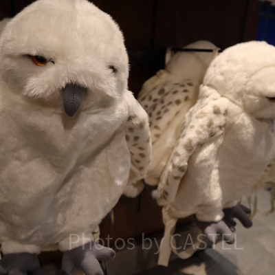 ハリーポッターグッズ/ヘドウィグリュック