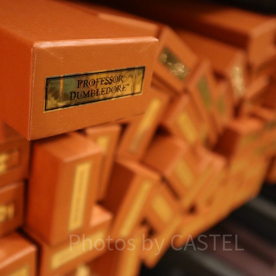 ハリポタグッズ/マジカル・ワンド/オリジナル・ワンド