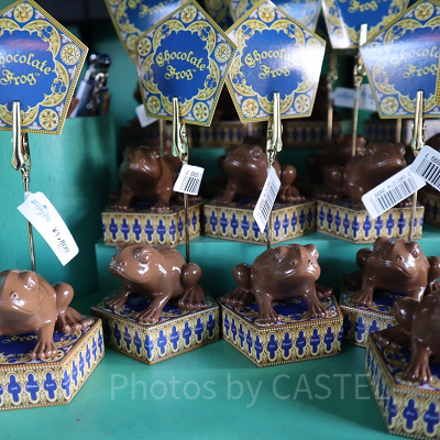 ハリーポッターグッズ/メモクリップ