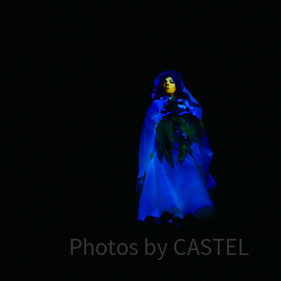 ホーンテッドマンション（東京ディズニーランド）