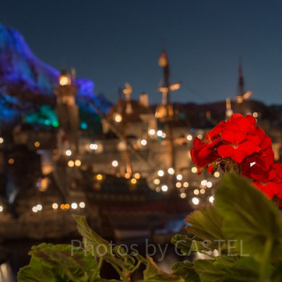 ディズニーで思い出に残るクリスマスディナーを！パークやホテルで食べられるコースディナーコースまとめ