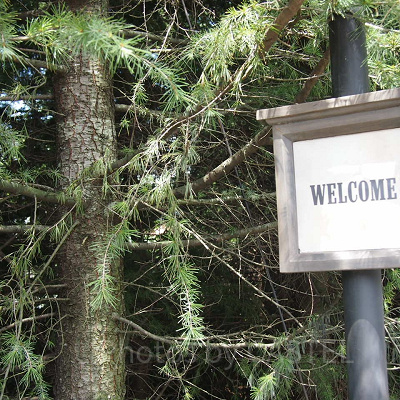 夏のUSJへいってらっしゃい！