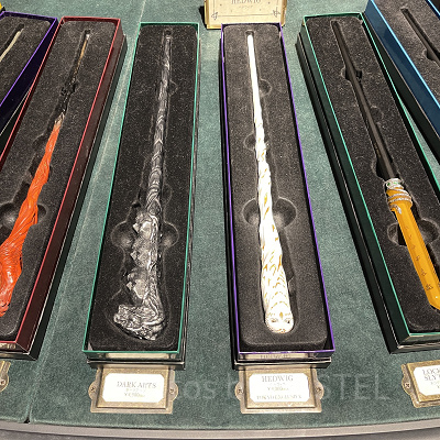 スタジオツアー東京限定のヘドウィグの杖（右から2本目）