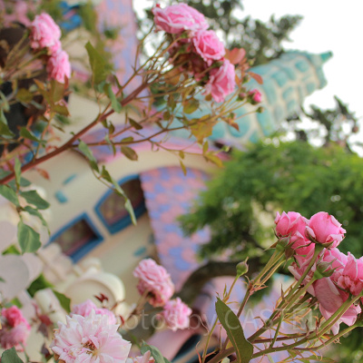 ミニーの家の隠れミッキー