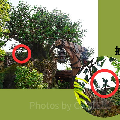 隠れミッキー〔スナグリーダックリング〕