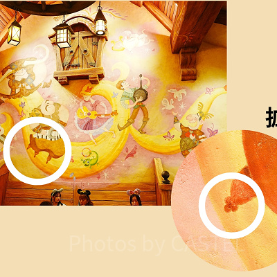 隠れミッキー〔スナグリーダックリング〕