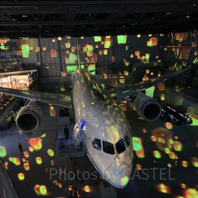 見どころ①：Fly with 787 Dreamlinerの様子