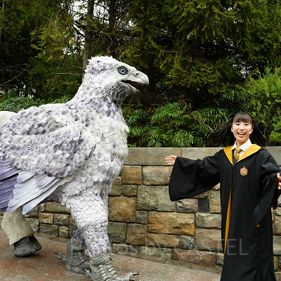 ヒッポグリフ・マジカル・レッスン