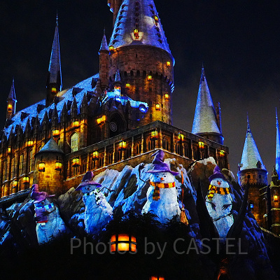 ホグワーツ・マジカルナイト・ウィンターマジック