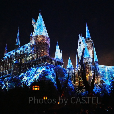 ホグワーツ・マジカルナイト・ウィンターマジック