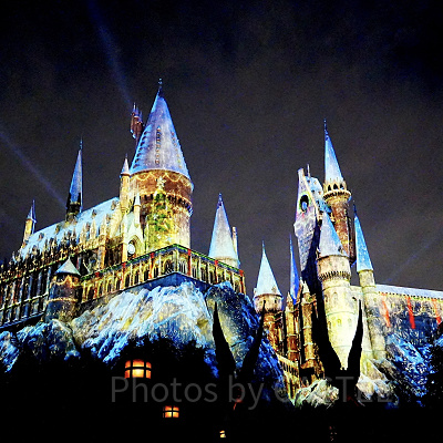 ホグワーツ・マジカル・ナイト~ウィンター・マジック~